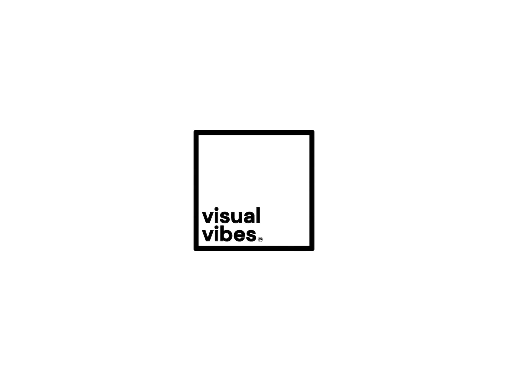 1. Visual Vibes (Photography & Videography)